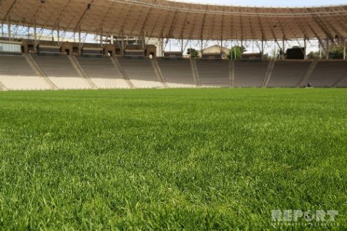 Respublika stadionu yaşıllaşdı - FOTOLAR