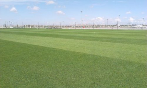 Olimpiya stadionu hazırdır - FOTOLAR