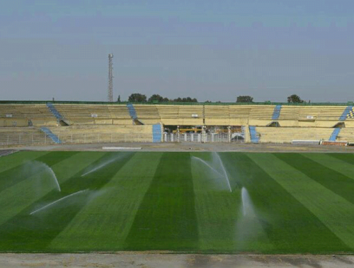 Gəncə şəhər stadionu yaşıllaşır - FOTOLAR