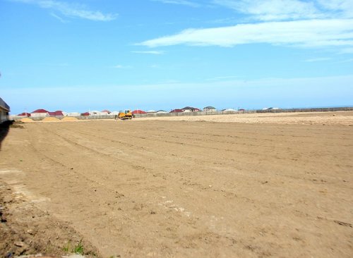 "Sumqayıt"ın stadionunu düzənlədilər  - FOTOLAR