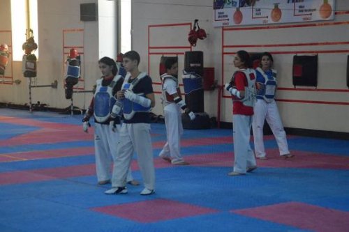 Taekvondoçularımızın olimpiada hazırlıqları - FOTOLAR