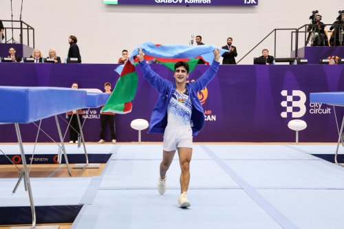 MDB Oyunları: Gimnastlarımızdan qızıl və bürünc medallar - FOTOLAR