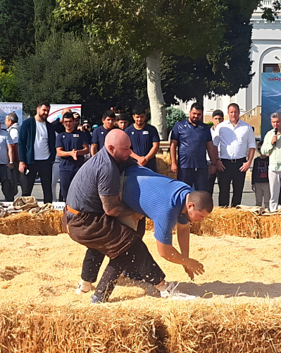 Bakıda İsveçrə və Azərbaycan güləşçiləri üz-üzə - FOTO