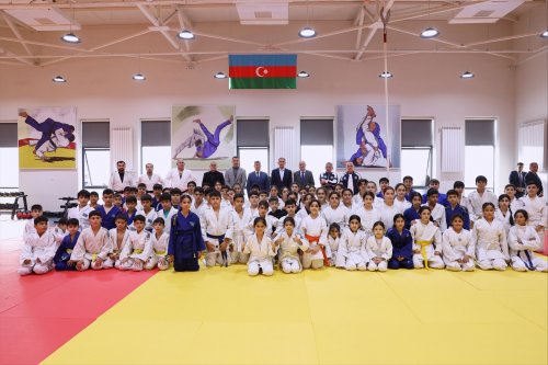 "İmişli" rəsmisini cüdo ilə nə birləşdirir? - FOTOLAR