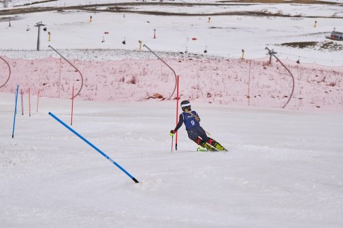 Papatoma yenə medalsız qaldı - FOTOLAR Papatoma yenə medalsız qaldı - FOTOLAR