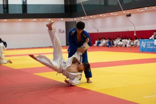 Daha 307 cüdoçu kəmər imtahanı verdi - FOTOLAR Daha 307 cüdoçu kəmər imtahanı verdi - FOTOLAR