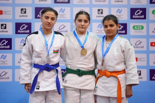 "İstedadların seçimi"ndə ilk medalçılar - FOTOLAR