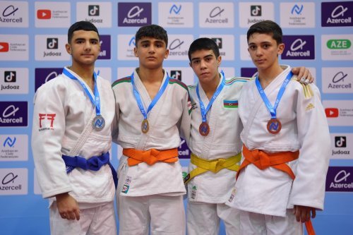 "İstedadların seçimi"ndə ilk medalçılar - FOTOLAR