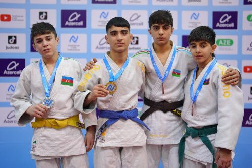 "İstedadların seçimi"ndə ilk medalçılar - FOTOLAR