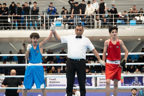 Azərbaycanın ən güclü boksçuları bəlli oldu - FOTOLAR 