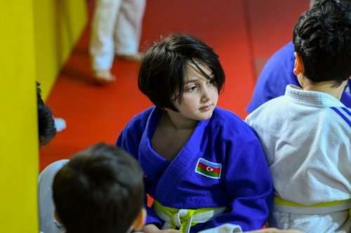 Daha 286 cüdoçu imtahan verdi - FOTOLAR