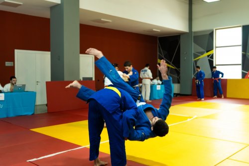 315 cüdoçu imtahan verdi - FOTOLAR