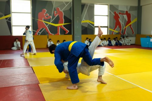 315 cüdoçu imtahan verdi - FOTOLAR