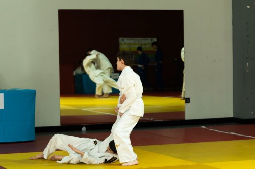 315 cüdoçu imtahan verdi - FOTOLAR