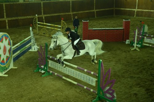 Atçılıq Federasiyası Bakıda turnir keçirəcək - FOTOLAR