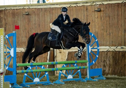 Atçılıq Federasiyası Bakıda turnir keçirəcək - FOTOLAR