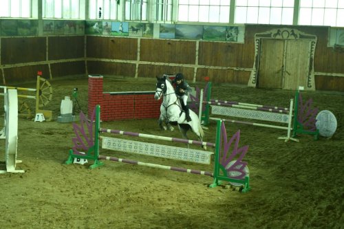 Atçılıq Federasiyası Bakıda turnir keçirəcək - FOTOLAR