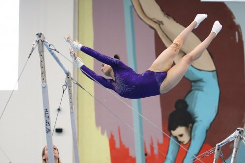 Gimnastlarımızdan 17 medal Gimnastlarımızdan 17 medal