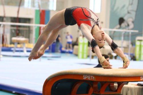 Gimnastlarımızdan 17 medal Gimnastlarımızdan 17 medal