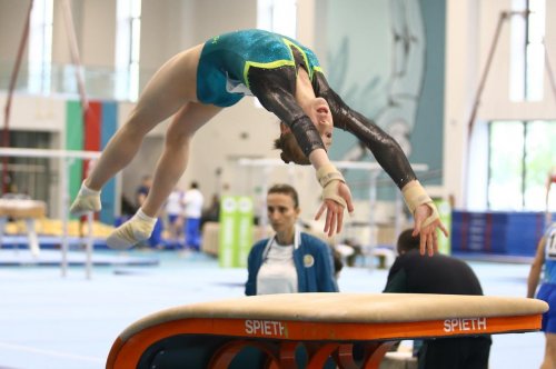 Gimnastlarımızdan 17 medal Gimnastlarımızdan 17 medal