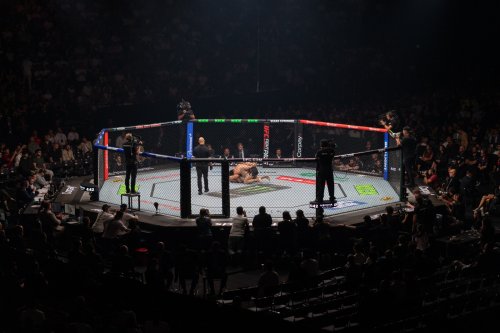 Bakıdakı UFC turnirində 72 ölkə, 11 min azarkeş - FOTOLAR